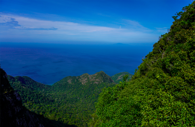 Kerala tour packages for family vacations